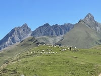 Col d'Aubisque
