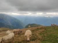 Col d'Aubisque desde Argelès Gazost por Col du Soulor
