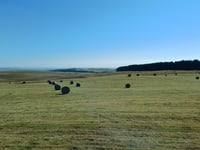 Col d'Aubrac desde Nasbinals