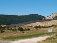 Col d'Aulan da Montbrun les Bains