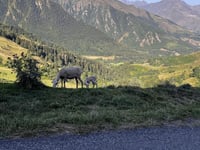 Col d'Azet / Val Louron da Bourisp