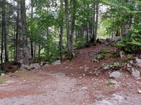 Col d'Herbouilly von Villard de Lans