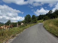 Col d'Ichère depuis Lourdios Ichère