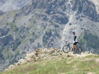 Col d'Izoard