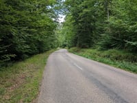 Col de Bannstein von Orschwihr