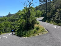 Col du Berger Mort / Coll de Banyuls von Banyuls sur Mer