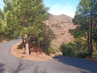 Col du Berger Mort / Coll de Banyuls von Banyuls sur Mer