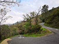 Col du Berger Mort / Coll de Banyuls von Banyuls sur Mer