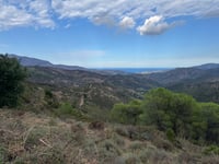 Coll de Banyuls / Col du Berger Mort von Espolla