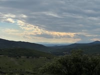 Coll de Banyuls / Col du Berger Mort von Espolla
