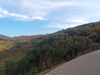 Coll de Banyuls / Col du Berger Mort von Espolla