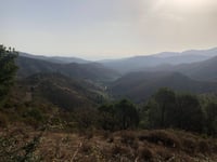 Coll de Banyuls / Col du Berger Mort von Espolla