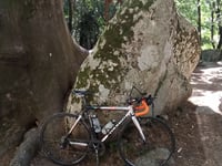 Col de Bavella