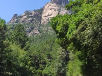 Col de Bavella