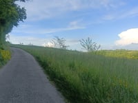 Col de Bel Air von Villette de Vienne über Chemin de la Forêt
