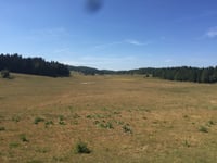 Col de Bérentin da Nantua
