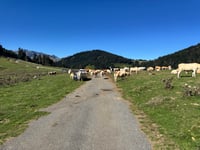 Col de Beyrède