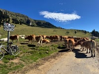 Col de Beyrède