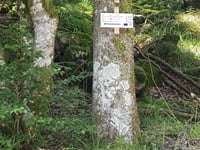 Col de Bramont von Wildenstein