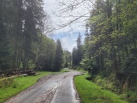 Col de Brechpunkt desde Abreschviller