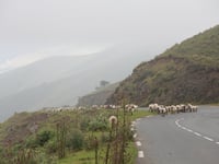 Col de Burdincurutcheta from Bassaburua
