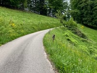Col de Chamont da Fréland