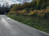 Col de Chatain depuis Tullins