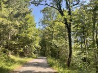 Col de Combe Blanche da Divonne-les-Bains