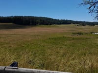 Col de Cuvery von Le Grand Abergement