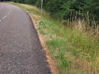 Col de Firstplan da Wihr au Val