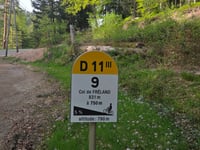 Col de Freland von Beblenheim