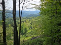 Col de Freland von Beblenheim