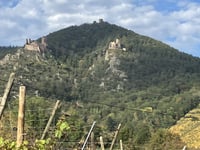 Col de Freland da Ribeauvillé