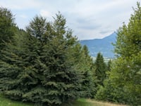 Col de Gnao von Ponte Serra