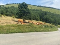 Col de Grimone from La Croix Haute