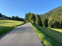 Col de Joux Plane depuis Morzine