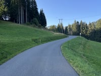 Col de Joux Plane depuis Morzine