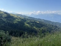 Col de Joux Plane
