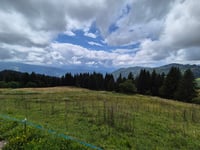 Col de Joux Plane