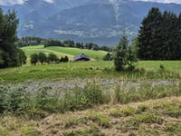 Col de Joux Plane