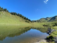 Col de Joux Plane