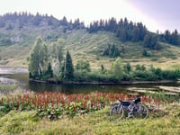 Col de Joux Plane