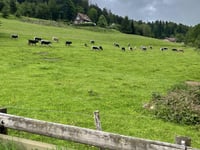 Col du Kreuzweg von Andlau
