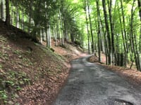 Col de l'Arpettaz desde Ugine por Mont Dessous