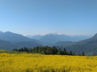 Col de l'Arpettaz from Ugine via Mont Dessous