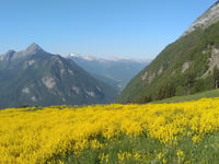 Col de l'Arpettaz from Ugine via Mont Dessous