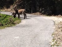 Col de l'Asclier desde L'Estréchure