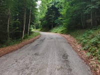 Col de l'Echarasson von Lente