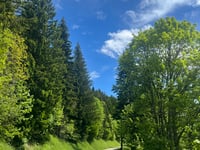 Col de l'Encrenaz von Fry