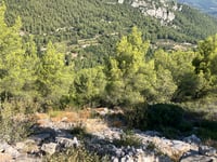 Col de l'Espigoulier da Gémenos